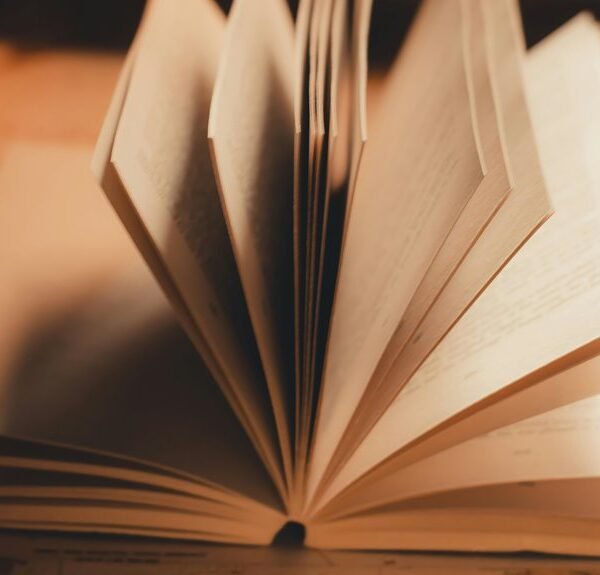 high page authority metrics