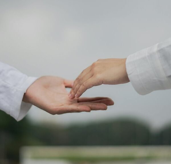 organic growth through link building
